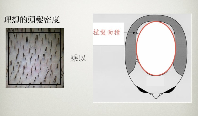 需要的頭髮總量 2013-06-08 上午8.13.47