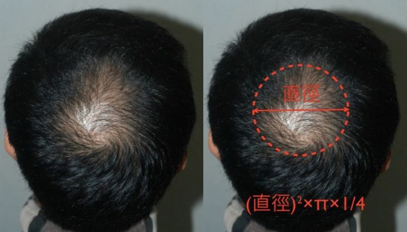 993071_10151760609897288_1282316883_n