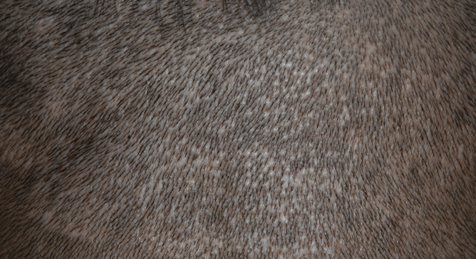 スクリーンショット 2018-09-14 14.05.41.png